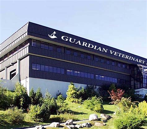 Guardian veterinary specialists - PepsiCo. Aug 1987 - Aug 19947 years 1 month. Somers, New York, United States.